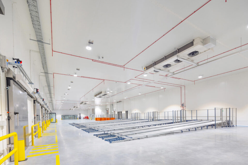 Frigo Logistics, Nowy Dwór Mazowiecki